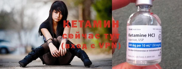 сатива Армянск