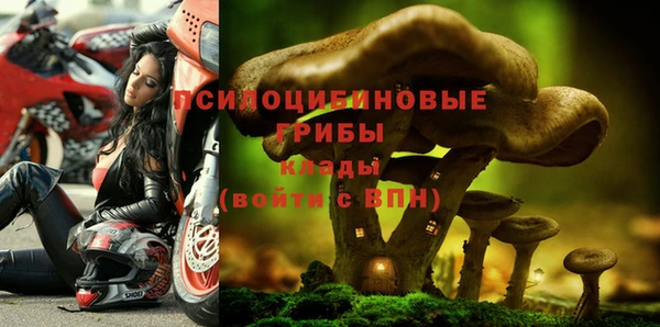 спайс Балахна