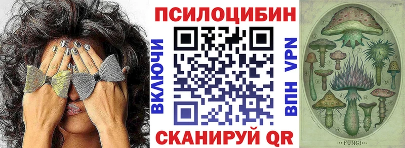 где продают наркотики  Качканар  Псилоцибиновые грибы Magic Shrooms 