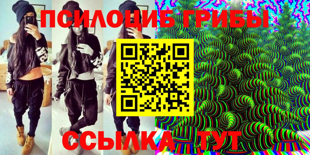 Качканар  Псилоцибиновые грибы Psilocybe  наркошоп  Вход с VPN 
